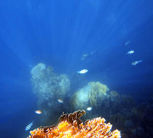 Schnorcheln Marsa Alam