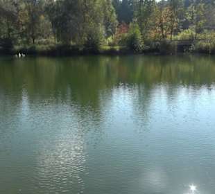 Engelhaldepark