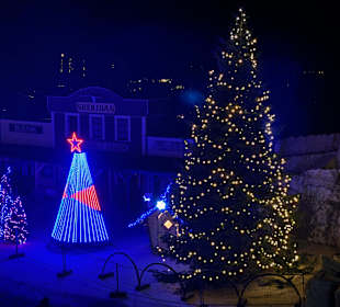 Christmas light Show 