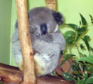 Super doświadczenie