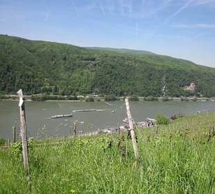 Impressionen Kräuterweg in Assmannshausen