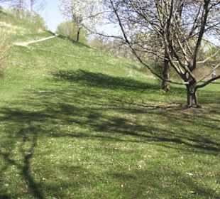 Sport- und Freizeitpark Markwasen
