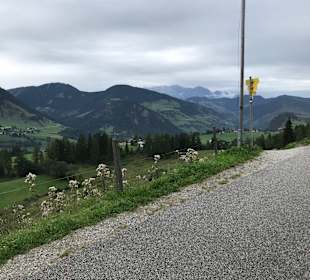 Wandern Zell am See