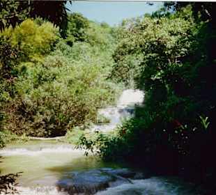 Y.S. Falls