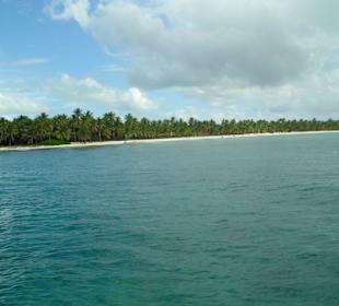 Blick auf Saona vom Katamaran