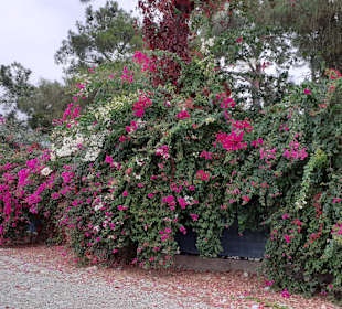 Stadtrundgang Göynük bei Kemer