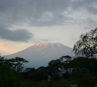 Kilimandscharo 