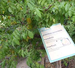 Botanischer Park Kreta 