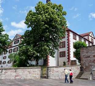 Schloss Wilhelmsburg