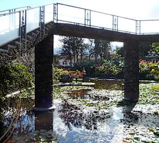 Taoro Parque 