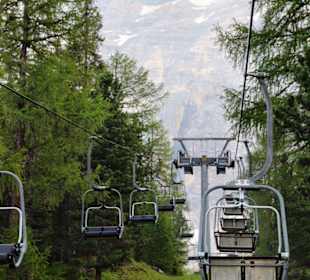 Fahrt durch den Lärchenwald