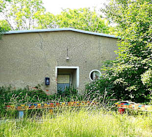 Apollo Tagestour zur Greifswalder Oie 