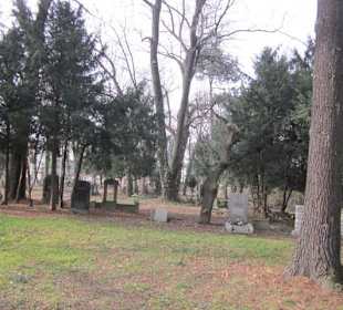 Friedenskirche in Swidnica Friedhof