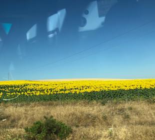 Wandern Novo Sancti Petri