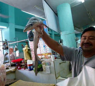 Fischstand im Mercado