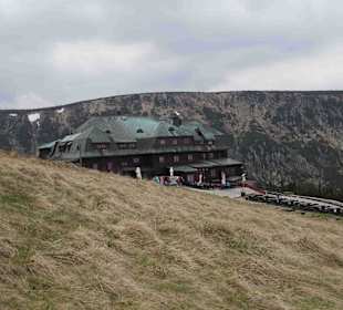 Berg Schneekoppe/Śnieżka