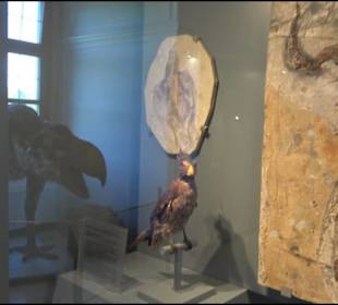 Jura-Museum
