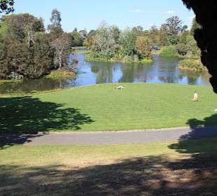 Royal Botanic Garden