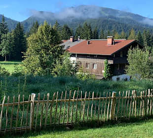 Blick in „unseren“ Garten