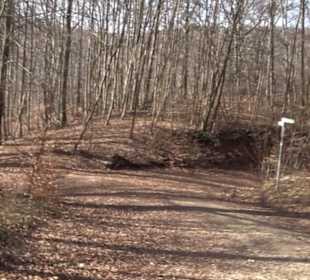 Premiumwanderweg Hohenwittlingensteig