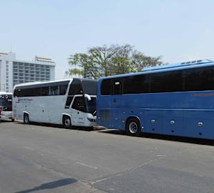 Parkende Busse die auf die Chinesen warten