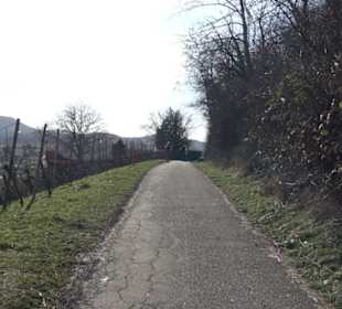Weinerlebnisweg