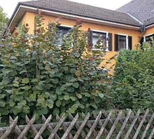 Brauereigaststätte König Oggenhausen