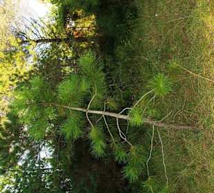 Naturschutzgebiet Gegend