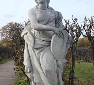 Усадьба Кусково