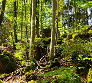 Wanderung zum Bärenfels