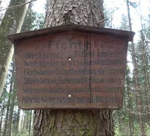 Vitus Mayer Waldlehrpfad