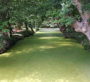 Schloßpark Kasteeltuinen Arcen