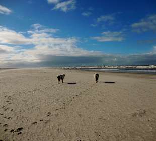 Strandwanderung ans Ostende der Insel