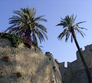 Alte Stadtmauer