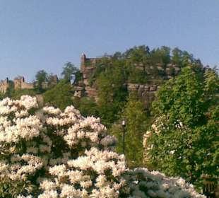 Oybin, auch im Sommer toll