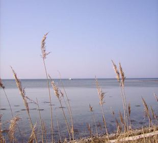 Naturschutzgebiet Geltinger Birk