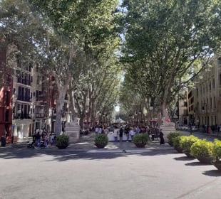 Altstadt Palma de Mallorca