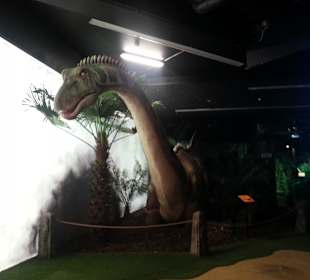 Dino Park Liberec