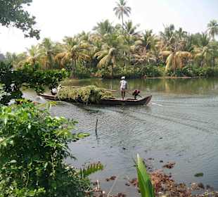 10€-Tagesausflug Backwater