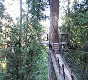 Capilano Suspension Bridge and Park