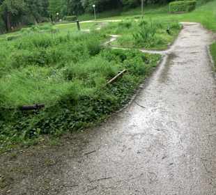 Baumlehrpfad Glacis Park