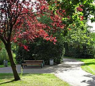 Rundgang durch den Edgar-Deichmann-Park