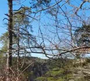 Burgruine Wehrstein Fischingen