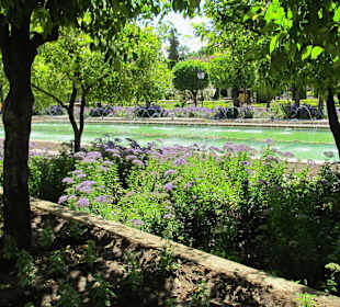 Ausflug nach Cordoba/Alcazar