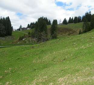 Blick zum Panorama-Bergrestaurant