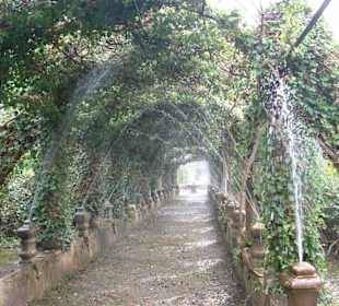 Jardines d`Alfabia
