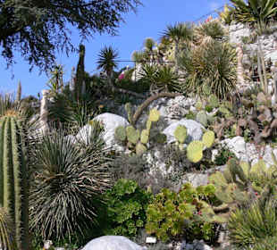 Blick auf die Sortenvielfalt