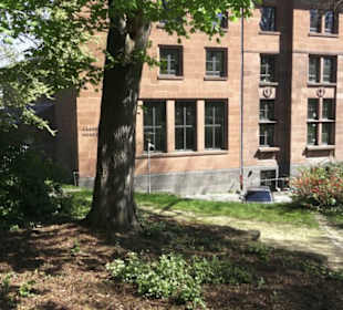 Rheinisches Landesmuseum 