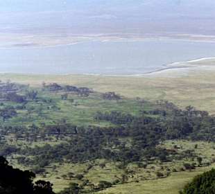 Ngorongoro Krater