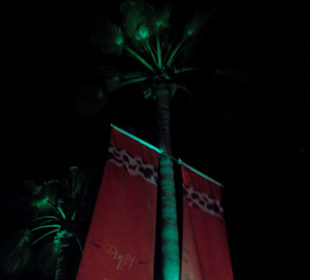 Auch vom Spaziergang